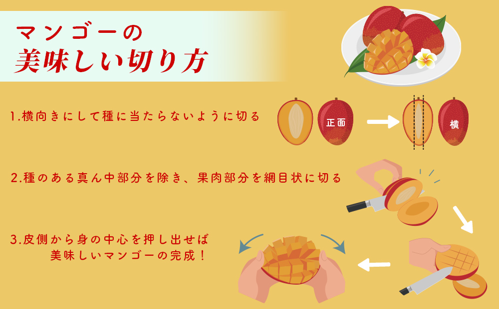 沖縄県産 訳ありマンゴー 1.5kg 【 先行予約 2026年発送 】