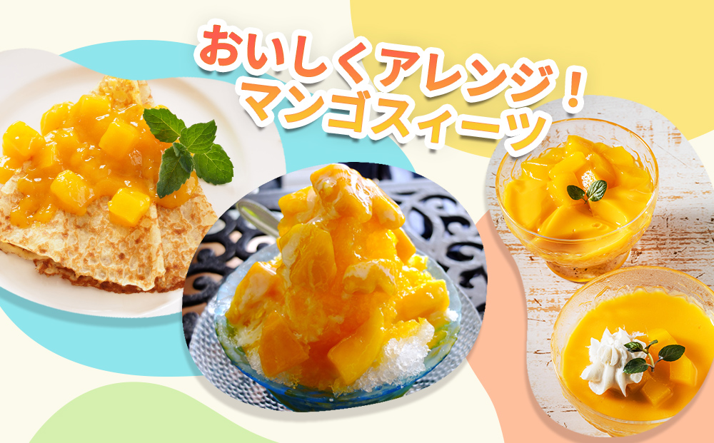 沖縄県産 訳ありマンゴー 1.5kg 【 先行予約 2026年発送 】