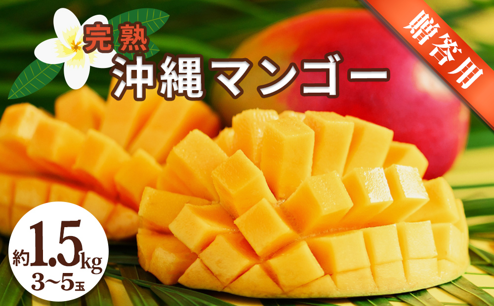 沖縄県産 贈答用マンゴー 1.5kg[ 先行予約 2026年発送 ]