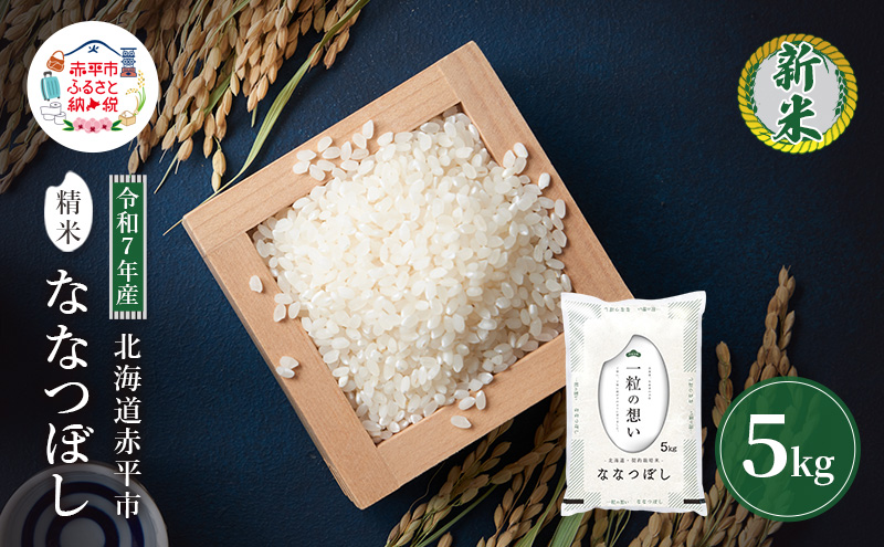 令和7年産 北海道 赤平産 ななつぼし 5kg 白米 精米 米 北海道 ごはん ご飯 ライス おにぎり