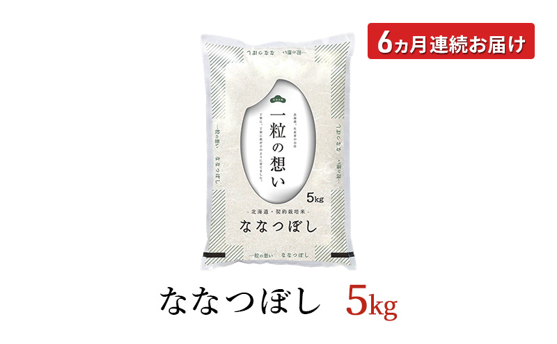 定期便6回 連続 お届け 令和7年産 北海道 赤平産 ななつぼし 5kg 白米 精米 米 北海道 ごはん ご飯 ライス おにぎり 定期便 定期 お楽しみ 6回