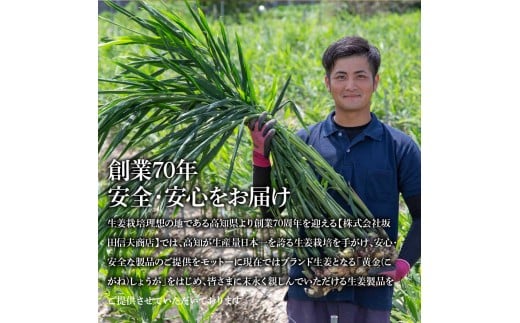 国産黄金しょうが寿しがり1kg×2袋 -  ガリ しょうが ショウガ 生姜 坂田信夫商店 黄金しょうが 国産 お寿司 付け合せ 寿司用がり ふるさとのうぜい 故郷納税 12000円 返礼品 高知