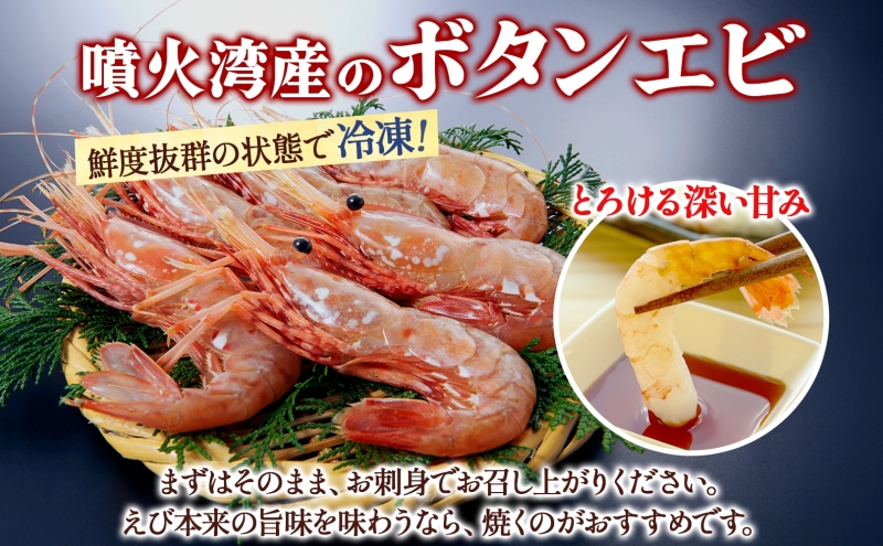 北海道 噴火湾産 冷凍ボタンエビ 小サイズ 計800g 70尾前後 ボタンエビ エビ えび 海老 北海道産 旬 ぼたんえび 刺身 牡丹海老 海鮮 魚介 甲殻類 味噌汁 鍋 海鮮丼 冷凍 洞爺湖町 within2025