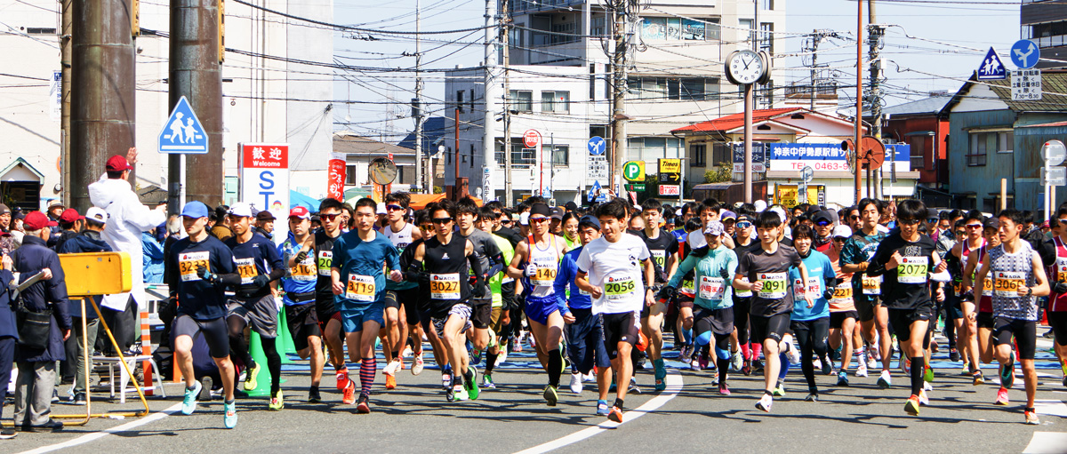 神奈川県伊勢原市のふるさと納税 [限定] 市制55周年記念第41回大山登山マラソン大会参加券！限定特典付！ [0719]