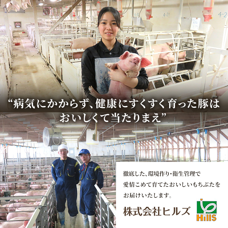 焼肉用 豚バラ 和豚 もちぶた 300g×8 豚肉 ポーク 肉 豚 国産 宮城県産 小分け バラ肉 豚バラ肉 ストック 精肉