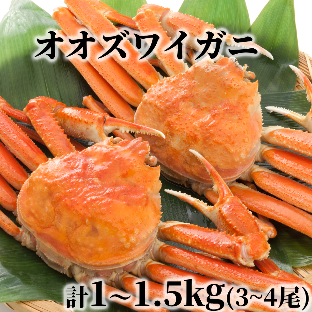 ykCʎsz17-203 kCY@{CIIYCKjp@v1`1.5O(3`4)