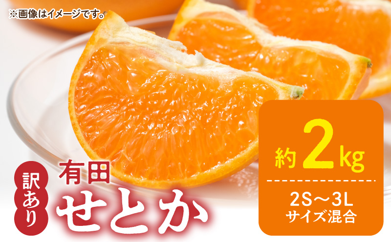 ZF6026n_ちょっと 傷あり 極早生 みかん 有田 M～SSサイズ 約2kg × 2箱