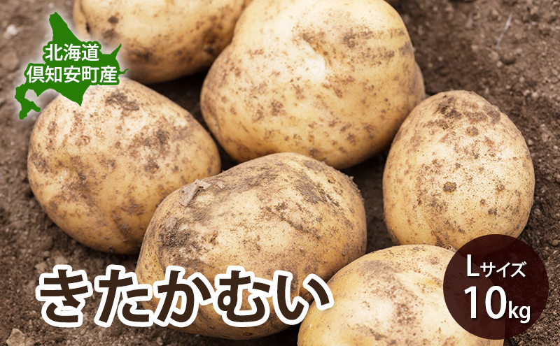 ykCmzkC m Y Ⴊ  ނ  L TCY 10kg n鏒   O[A[Xt@[ _   Yn