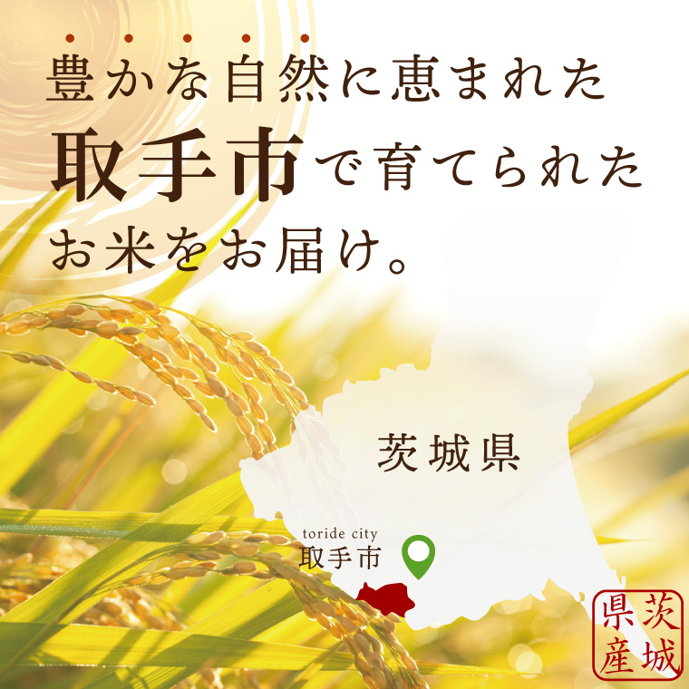 【数量限定】R6年産取手市産コシヒカリ 精米5kg|お米 米 こしひかり コシヒカリ 白米 茨城県 取手市（BS007）