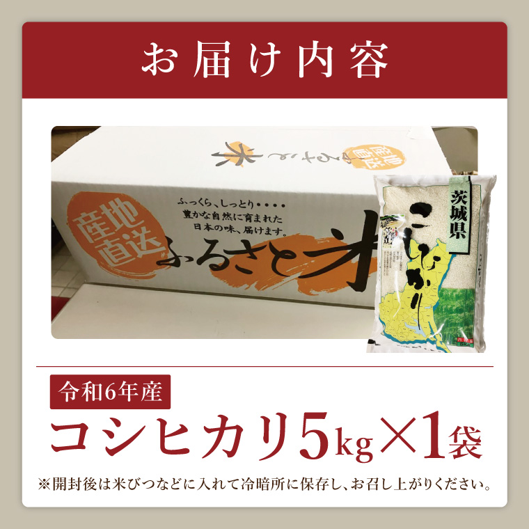 【数量限定】R6年産取手市産コシヒカリ 精米5kg|お米 米 こしひかり コシヒカリ 白米 茨城県 取手市（BS007）