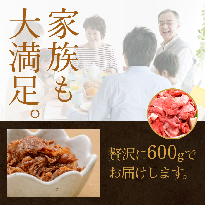 【12ヶ月定期便】茨城最高のブランド牛【常陸牛切り落とし】約600g｜肉 お肉 牛肉 常陸牛 切り落とし ブランド牛 定期便 お肉定期便 茨城県 行方市(J-16)
