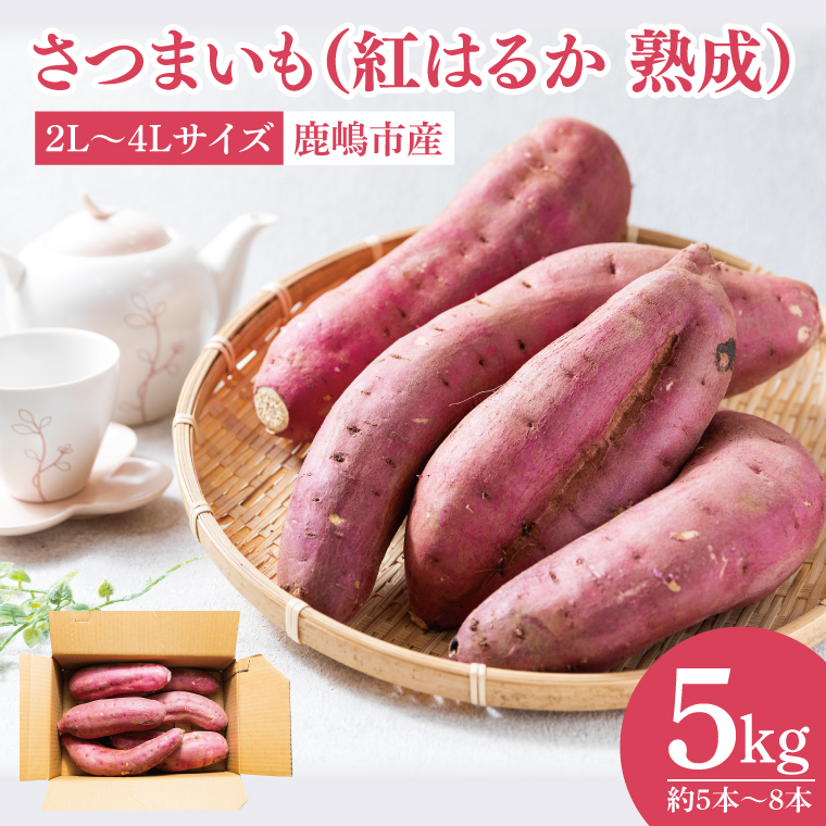 【先行予約】【訳あり 不揃い】完熟高糖度 さつまいも（紅はるか）約5kg（サイズ：2L～4L）【熟成 サツマイモ 焼き芋 キュアリング 茨城県 鹿嶋市産】【2025年12月～順次発送】（KDV-001）