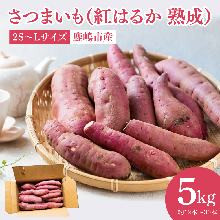 【先行予約】【訳あり 不揃い】完熟高糖度 さつまいも（紅はるか）約5kg（サイズ：2S～L）【熟成 サツマイモ 焼き芋 訳あり 訳あり キュアリング 茨城県 鹿嶋市産】【2025年12月～順次発送】（KDV-002）
