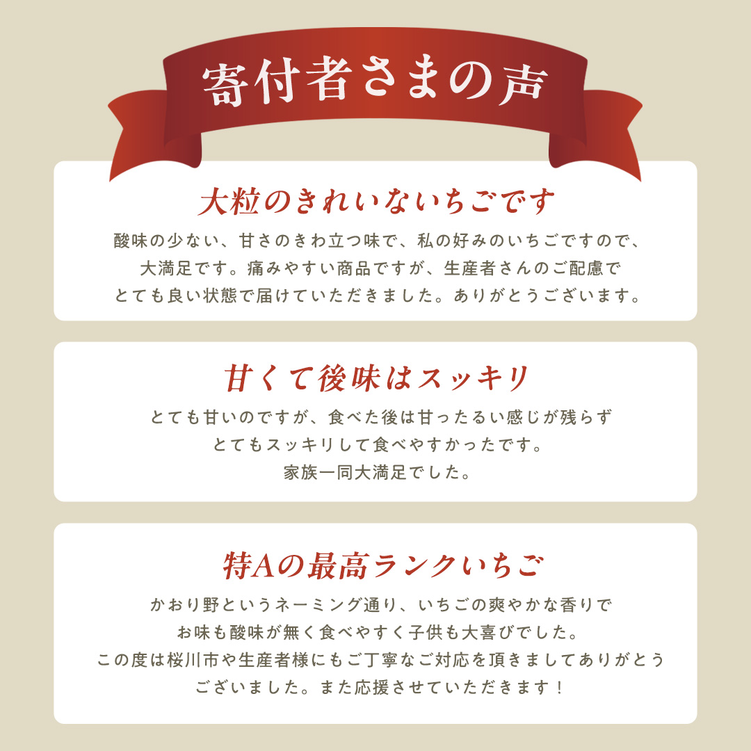 茨城県桜川市のふるさと納税 【 2026年1月上旬発送開始 】 完熟 かおり野 260g×4P 国産 いちご イチゴ 苺 果物 フルーツ 茨城県産 KEK 果物 フルーツ [BC032sa]