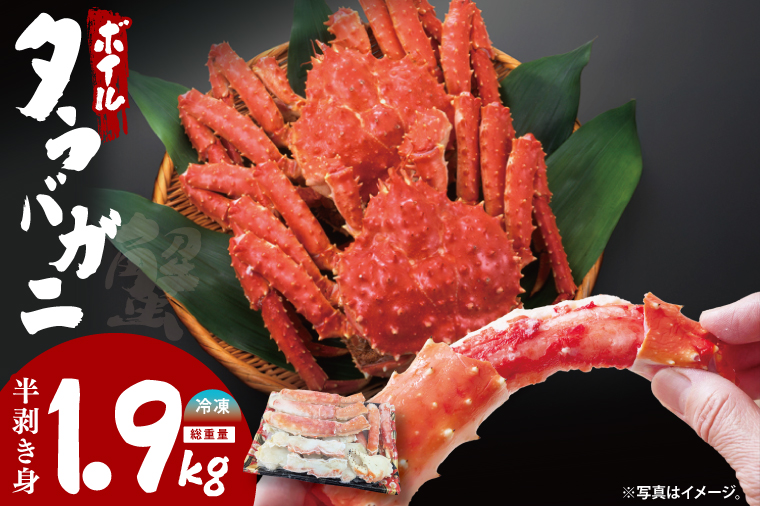 y錧z{C΂ g d1.9ie1.7j ^oKj ^oI   {C ނg n[t|[V Jbg ɓ I ɂ I