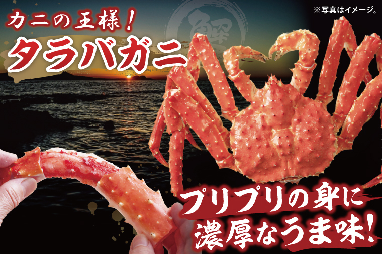 【12月25日決済確定分まで年内発送】ボイルたらばがに シュリンクパック 総重量2.1ｋｇ（内容量1.9ｋｇ） タラバガニ タラバ蟹 たらば かに ボイル シュリンク かに鍋 蟹鍋 かにしゃぶ 蟹しゃぶ