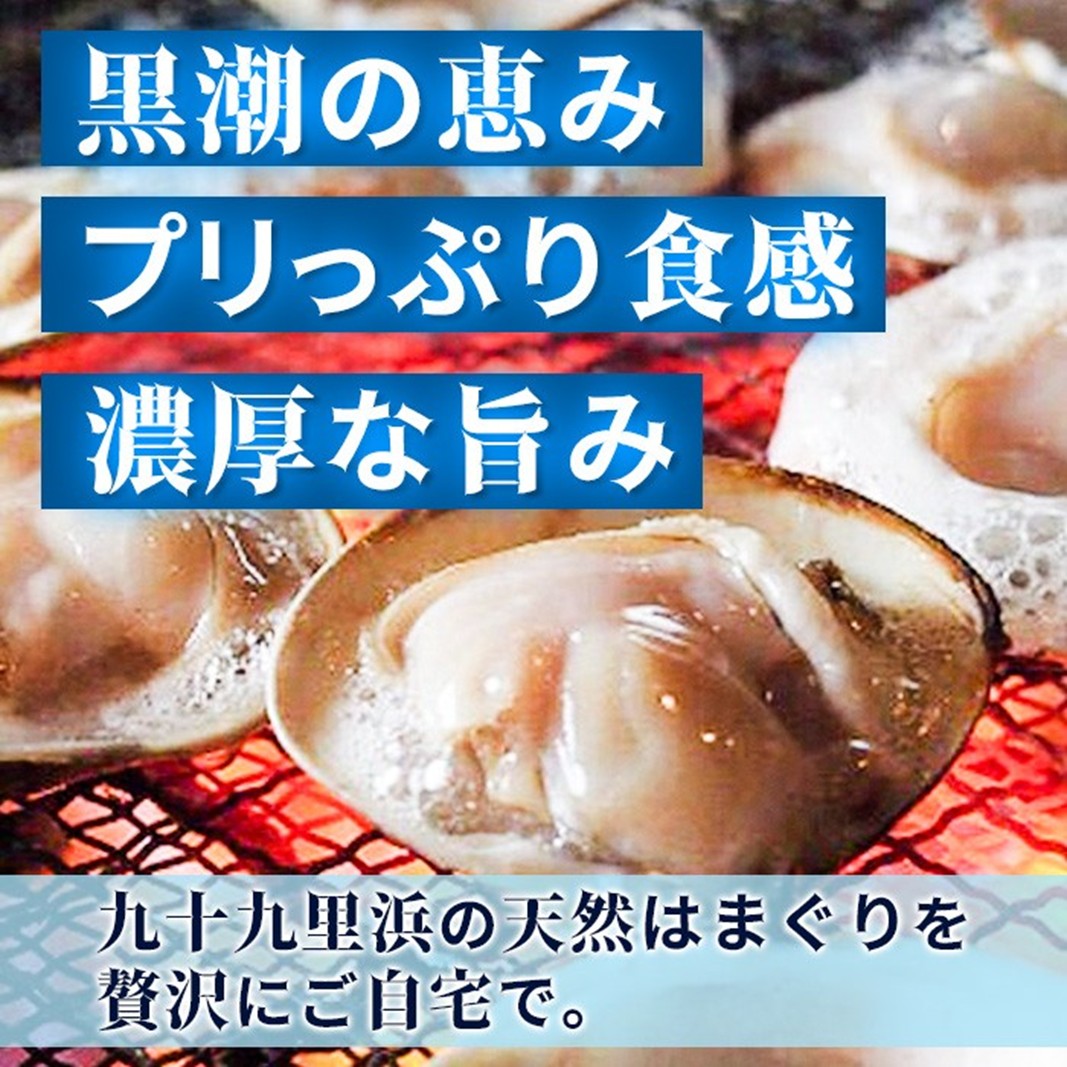 訳あり はまぐり 規格外 大はまぐり 10パック 計 4kg 貝 海鮮 魚介 海の幸 ハマグリ 蛤 海産物 国産 天然 産地直送 千葉県 九十九里 九十九里浜