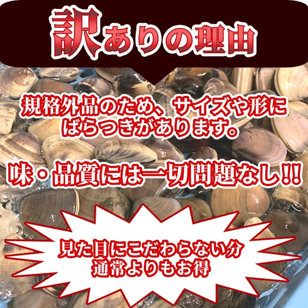 訳あり はまぐり 規格外 大はまぐり 10パック 計 4kg 貝 海鮮 魚介 海の幸 ハマグリ 蛤 海産物 国産 天然 産地直送 千葉県 九十九里 九十九里浜