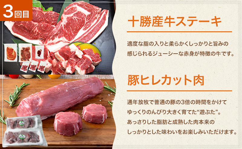 十勝幕別の定期便 牛肉と豚肉 全3回 【 牛 豚 焼肉 バーベキュー ロース ステーキ しゃぶしゃぶ とんかつ 北海道 十勝 幕別 】