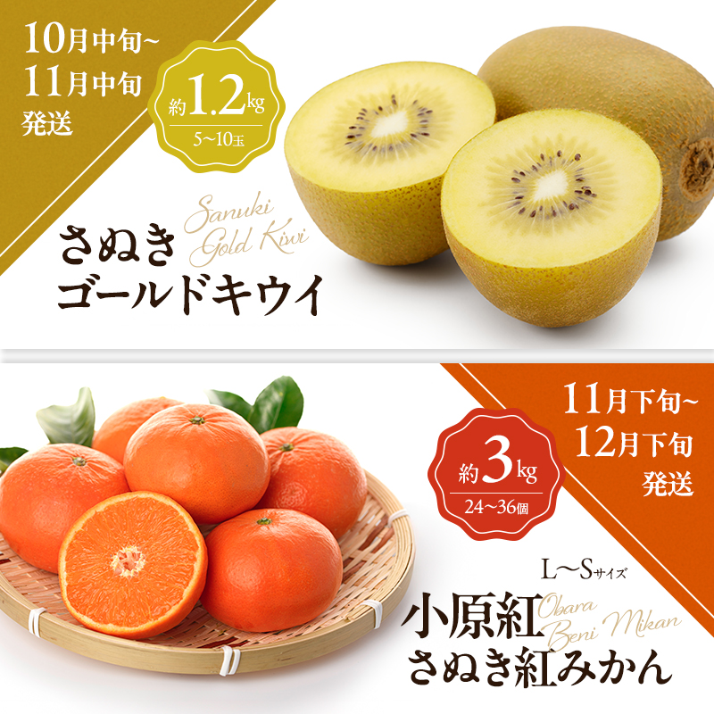 讃岐のフルーツ6回定期便【B】【さぬきひめ苺】【デコポン】【なつたより(びわ)】【桃】【さぬきゴールドキウイ】【小原紅(さぬき紅みかん)】