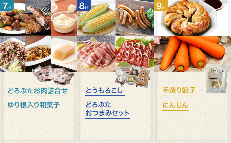 十勝幕別の定期便 1年間たっぷり全12回 【 チーズ 蜂蜜 ハンバーグ 麺 ウインナー ベーコン 餃子 グラタン 麺 和菓子 スイーツ カレー 牛 豚 野菜 北海道 十勝 幕別 】