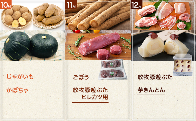 十勝幕別の定期便 1年間たっぷり全12回 【 チーズ 蜂蜜 ハンバーグ 麺 ウインナー ベーコン 餃子 グラタン 麺 和菓子 スイーツ カレー 牛 豚 野菜 北海道 十勝 幕別 】