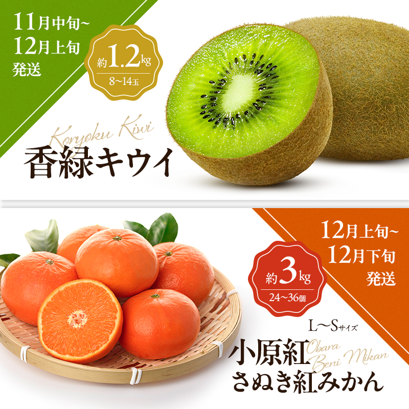 讃岐のフルーツ6回定期便【C】【さぬきひめ苺】【デコポン】【桃】【シャインマスカット】【香緑キウイ】【小原紅(さぬき紅みかん)】