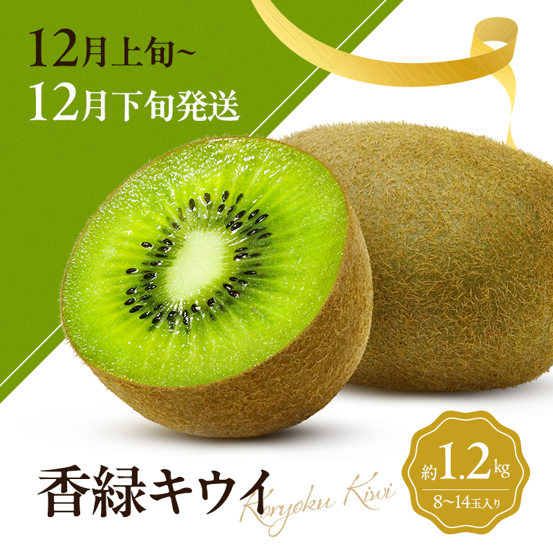 讃岐のキウイ定期便（全3回）【さぬきゴールドキウイ】【さぬきキウイっこ 】【香緑キウイ】