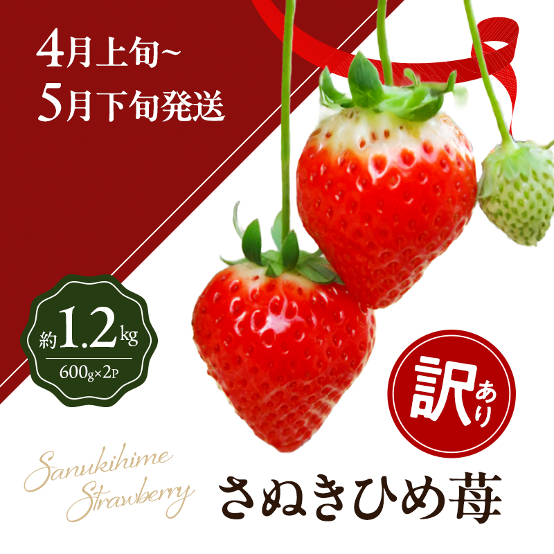 讃岐のいちご定期便（全3回）【さぬきひめ】