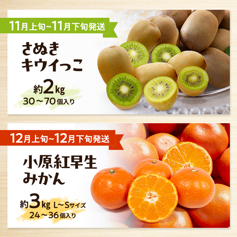 讃岐のフルーツ定期便（全10回）