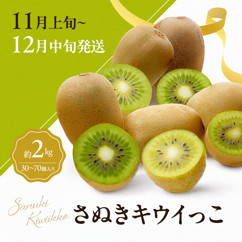讃岐のフルーツ3回定期便【A】【さぬきひめ苺】【温室さぬき小原紅(紅みかん) 】【さぬきキウイっこ】