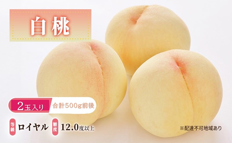 yRsz 2026N s\  : C x12.0xȏ 2ʓ v500gO   RY Y t[c ʕ Mtg