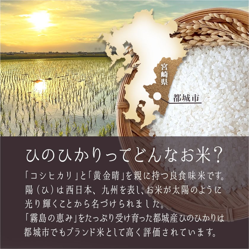 宮崎県都城市のふるさと納税 お米 新米 都城産ひのひかり5kg(5kg×1袋)_AO-A701