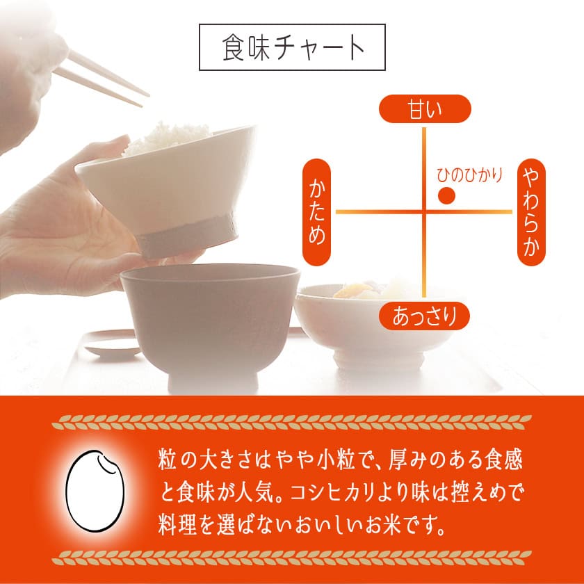 宮崎県都城市のふるさと納税 お米 新米 都城産ひのひかり5kg(5kg×1袋)_AO-A701