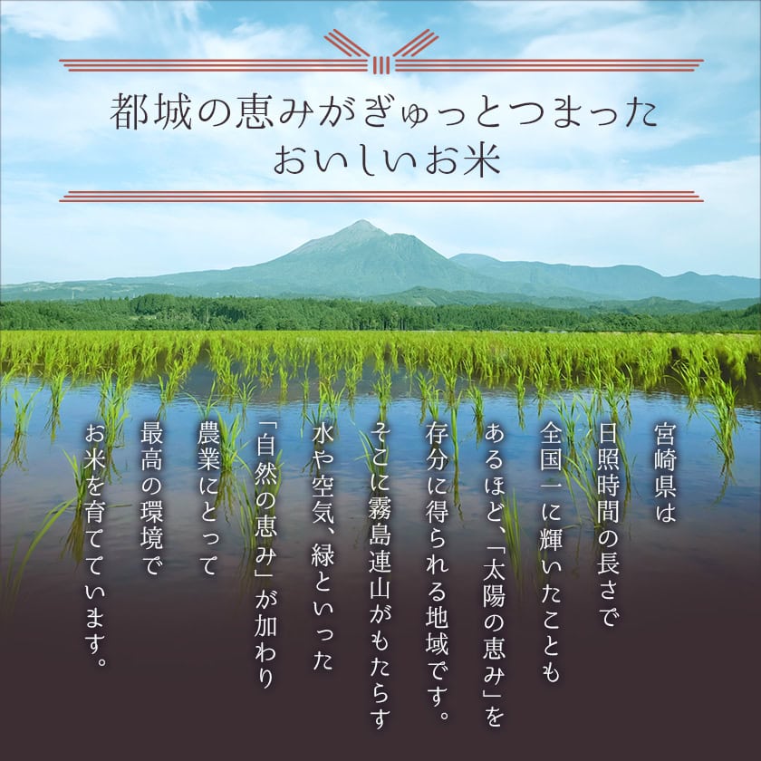 宮崎県都城市のふるさと納税 お米 新米 都城産ひのひかり5kg(5kg×1袋)_AO-A701