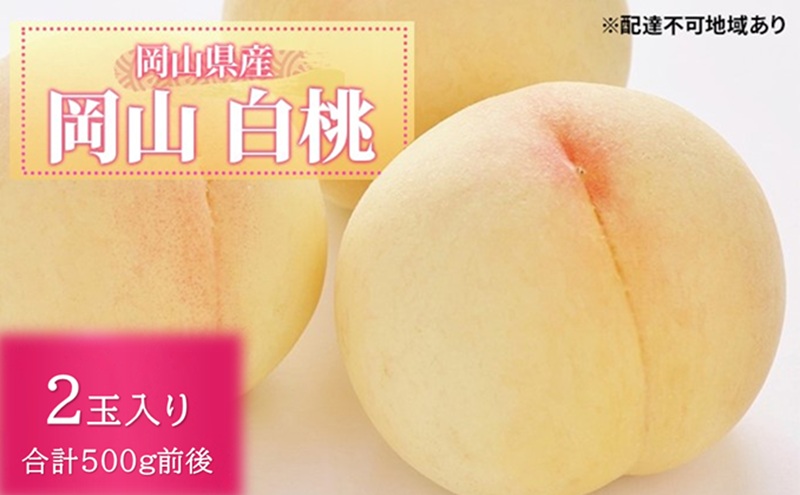 yR˓sz 2026N s\  2ʓ v500gO RY  RY Y t[c ʕ Mtg