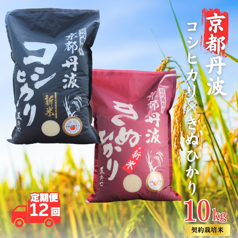【12カ月定期便】令和7年産 新米 京都丹波産 こしひかり・きぬひかり 食べ比べセット 10kg 合計120kg