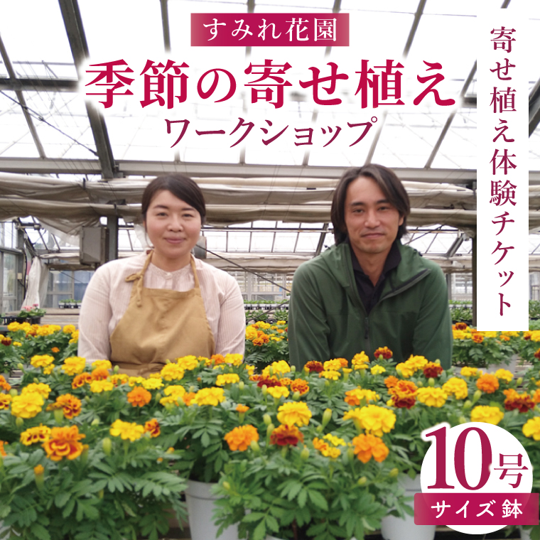 行方市の花農家「すみれ花園」季節の寄せ植えワークショップ(10号サイズ鉢)｜花 お花 季節の花 ワークショップ 体験 体験チケット ラーケーション ガーデンセラピー 寄せ植え 茨城県 行方市(EH-31)