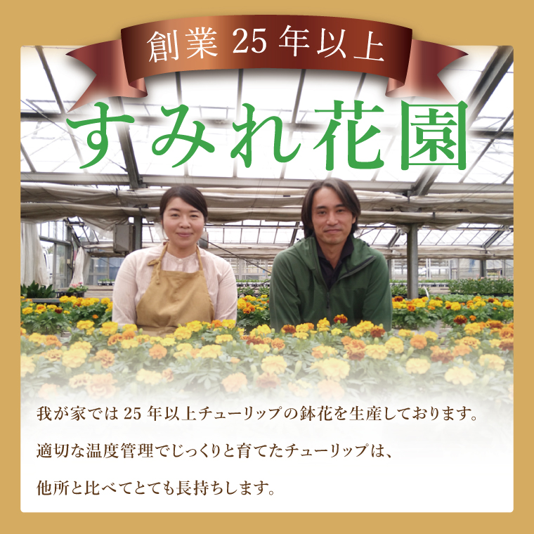 行方市の花農家「すみれ花園」季節の寄せ植えワークショップ(10号サイズ鉢)｜花 お花 季節の花 ワークショップ 体験 体験チケット ラーケーション ガーデンセラピー 寄せ植え 茨城県 行方市(EH-31)