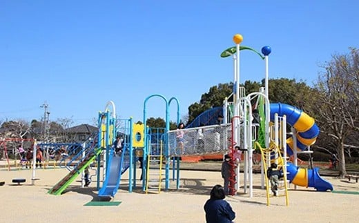 【返礼品なし】滋賀県近江八幡市への応援寄附金　3,000円【OM003W】