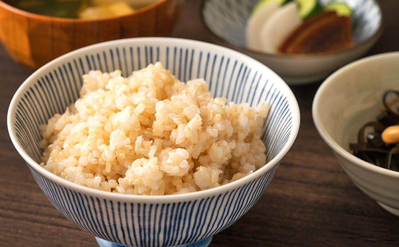 令和7年 きぬむすめ 玄米 10kg 晴れの国 岡山県産 米 お米 コメ おこめ 岡山 赤磐市