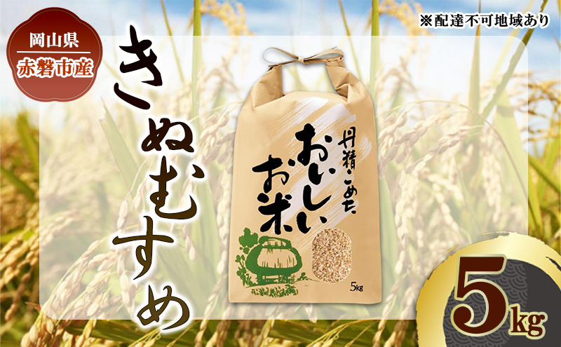 yRԔ֎szߘa7N ʂނ  5kg ̍ RY   R  R Ԕ֎s