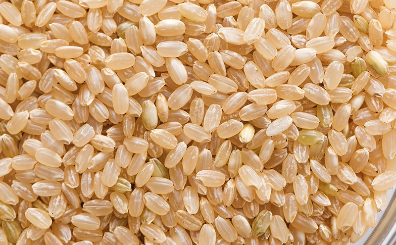 令和7年 きぬむすめ 玄米 5kg 晴れの国 岡山県産 米 お米 コメ おこめ 岡山 赤磐市