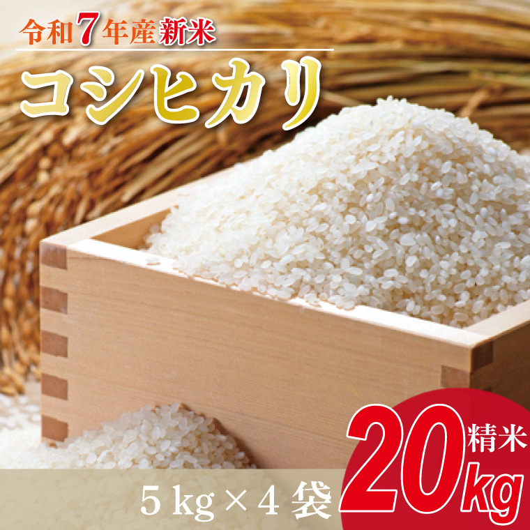 y錧sszy2025N9{菇zVāR7NY RVqJ 20kg(5kg×4)b    V R7NY ߘa7NY Ђ RVqJ 錧 錧Y ss(HA-15)