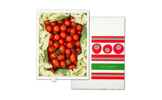 訳あり 赤いミニトマトの宝石箱 約1kg 約1キロ 5回定期便 トマト とまと ミックス 詰め合わせ セット 野菜 料理 サラダ マリネ 浅漬け おやつ 弁当 訳アリ 家庭用 ご自宅用 常温 配送