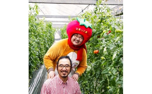 訳あり 赤いミニトマトの宝石箱 約1kg 約1キロ 3回定期便 トマト とまと ミックス 詰め合わせ セット 野菜 料理 サラダ マリネ 浅漬け おやつ 弁当 訳アリ 家庭用 ご自宅用 常温 配送