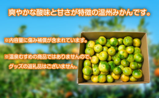 訳あり 温州みかん 約2kg 早生 南知多町産 みかん 蜜柑 柑橘 果物 フルーツ デザート アレンジ 人気 おすすめ 愛知県 南知多町
