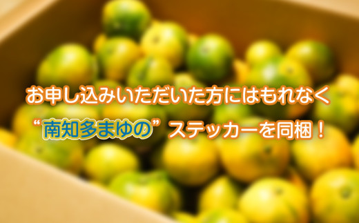 訳あり 温州みかん 約2kg 早生 南知多町産 みかん 蜜柑 柑橘 果物 フルーツ デザート アレンジ 人気 おすすめ 愛知県 南知多町