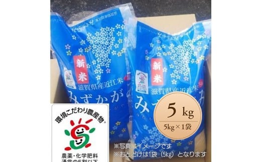 [新米][7年産]滋賀県近江米「みずかがみ」[環境こだわり米]白米5kg(5kg×1袋)[FM05W]