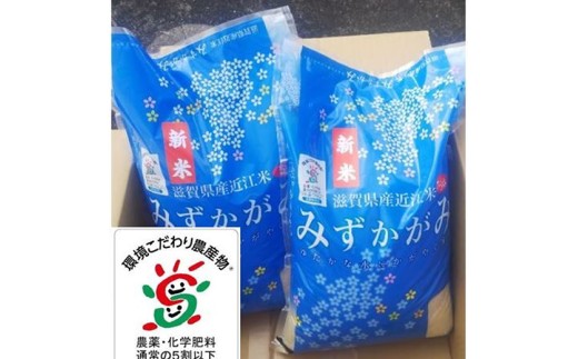 yꌧߍ]szyVāzy7NYzꌧߍ]āu݂݁vyāz10kg(5kg×2)yFM06Wz